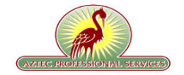Aztec Professional Services